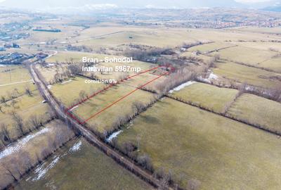 Teren Construcții intravilan de 5967 mp, în Sohodol - 17