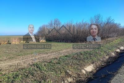 Teren agricol extravilan de 5000 mp, în Nord - 2