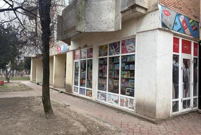 Spațiu comercial, de 28 mp, în Nicolina - 2