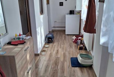 Casă cu 3 camere în Șega - 4