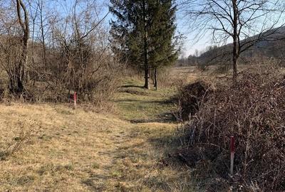 Teren de 1519 mp, în Central - 7