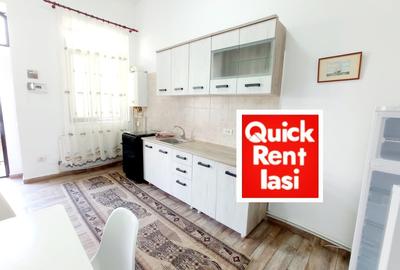 Independentei ( Spiridon) Langa UMF - Apartament 1Camera Ultracentral - 6