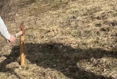 Vanzare Teren cu Punct de Belvedere in Moieciu zona Magura-Pestera - 23