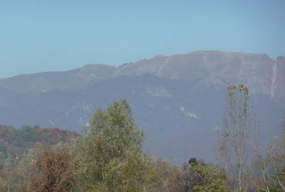 Teren de 600 mp, în Govora - 3