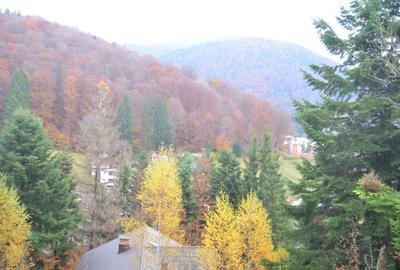 Teren intravilan situat in Busteni-Valea Alba - 3