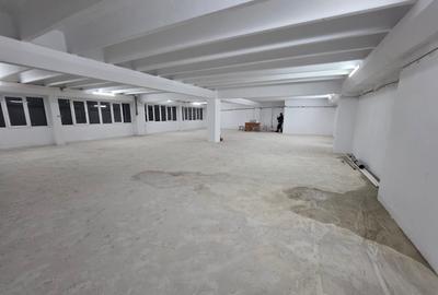 Theodor Pallady, 10 minute metrou 1 Decembrie 1918, stradal - 12