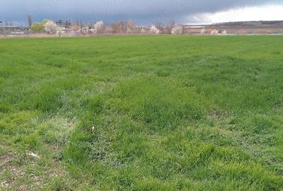 Teren de 3600 mp, în Crevedia - 3