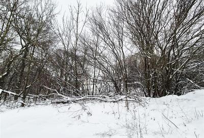 Teren Construcții intravilan de 708 mp, în Vișani - 3