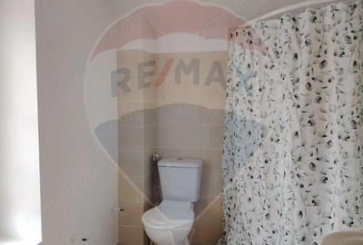 EXCLUSIVITATE! Casa cu anexa ?i 13 ari teren in Baia Sprie-comision 0% - 8