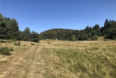 Teren de 1656 mp, în Brebina - 2