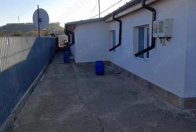 Casă cu 8 camere cu Teren 180000 Mp în Pietroiu - 3