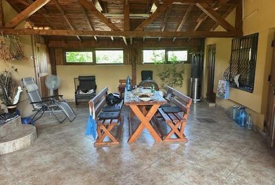 Casă cu 6 camere cu Teren 4650 Mp în Pruni - 10