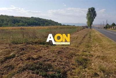 Teren intravilan Teleac cu toate utilitatile Teren intravilan Teleac cu toate utilitatile - 2