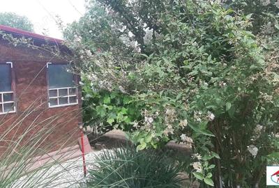 Casă cu 2 camere în Beltiug - 11