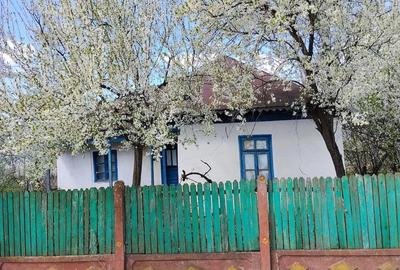 Casă cu Teren 5000 Mp în Ulmu - 1