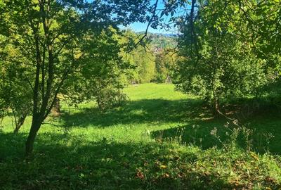 Casa la ro?u + 4391 mp teren de vanzare in comuna Valea Danului, sat Borobane?ti, jude? Arge?. - 8