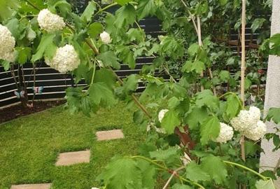 Vanzare 3 camere Natura Residence 167 mp + 2 locuri de parcare - 11