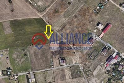 Teren de 500 mp, în Viile Noi - 1