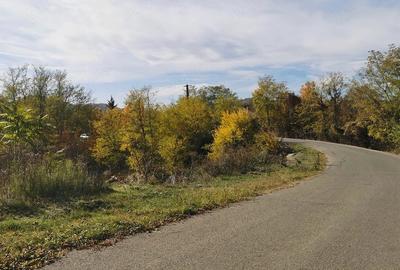 Teren de 2500 mp, în Vitioara de Sus - 2