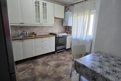 Apartament cu 3 camere decomandat în Drumul Sării - 3