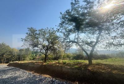 Teren de 570 mp, în Viișoara - 2