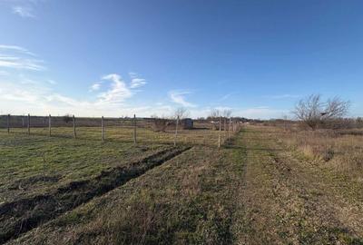 Teren de 1660 mp, în Exterior Vest - 5