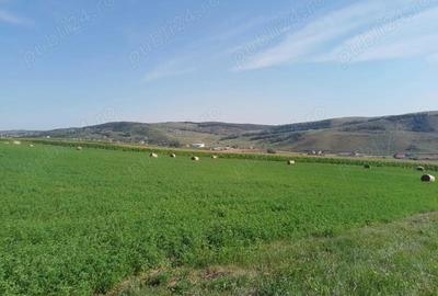 Chinteni 40 euro mp - 11