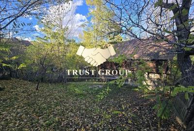 Casa S+P TEREN 1508mp Casa S+P TEREN 1508mp - 8