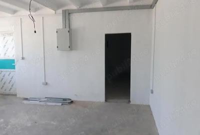 Spațiu comercial, de 350 mp, în Orțișoara - 1
