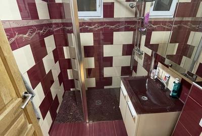Apartament cu 2 camere decomandat în Dosu Bricii - 2