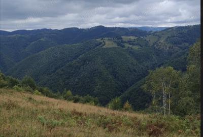 Teren de 1200 mp, în Mărișel - 2