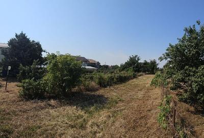 Vanzare teren Clinceni strada Principala - 8