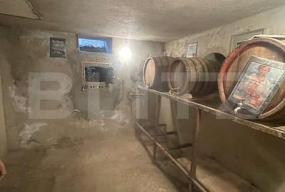 Casa cu potential fantastic in Cluj-Napoca, cartierul Someseni! - 17