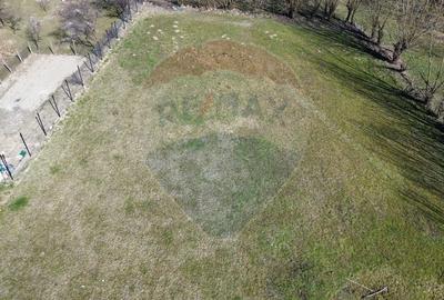 Teren Construcții intravilan de 1486 mp, în Sud - 9