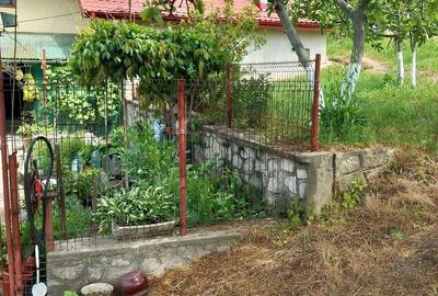 Casă cu 6 camere cu Teren 4000 Mp în Central - 4