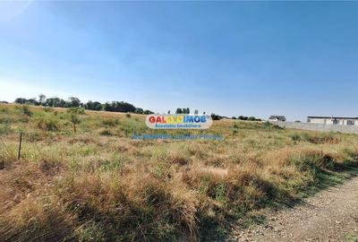 Teren intravilan comuna Berceni, Mamina - locatie langa lac Teren intravilan comuna Berceni, Mamina - locatie langa lac - 2