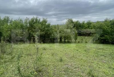 Teren de 5200 mp, în Central - 2