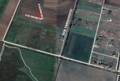 Teren Construcții intravilan de 874 mp, în Moșnița Veche