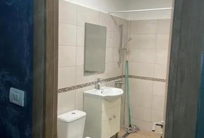 Garsonieră decomandată în Brazda lui Novac - 9