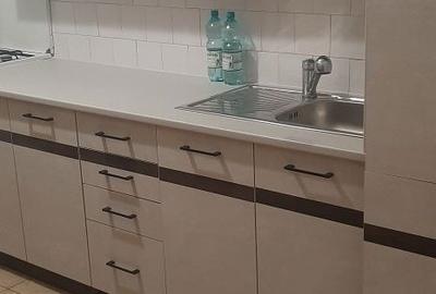 Apartament cu 4 camere decomandat în Petru Rareș - 8