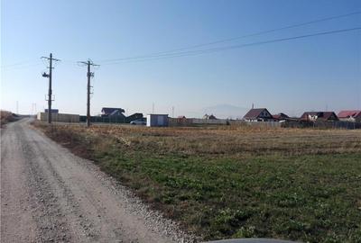 Teren de 20000 mp, în Central - 7