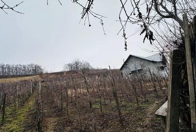 Teren intravilan - 1