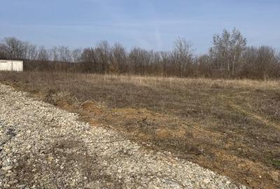 Teren de 5000 mp, în Moșoaia - 1