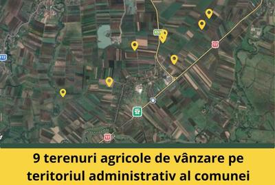 Teren extravilan de 71651 mp, în Chichiș - 10