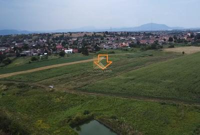 Posibilitate RATE | Teren Bod | curti constructii | utilitati | PUZ, - 10