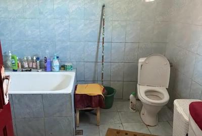 Casă cu 4 camere cu Teren 3200 Mp în Păltinișu - 1