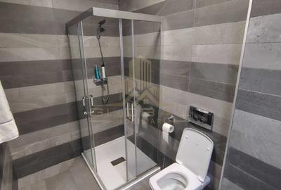 Apartament cu 2 camere decomandat, mobilat în Sopor - 6