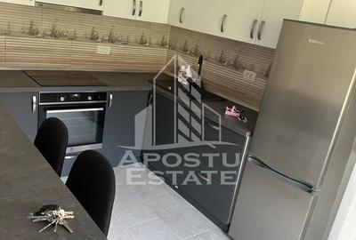 Doua apartamente la curte comuna , zona Iosefin - 5