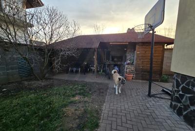 Casa moderna 8 camere pretabil locuinta sau investitie in Selimbar - 15