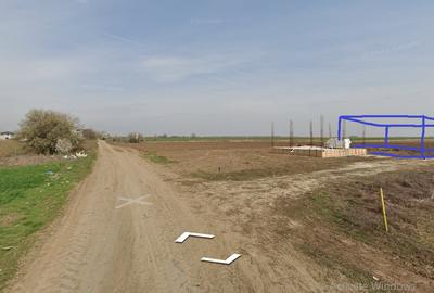 Comuna Berceni, 3 loturi a cate 330 mp, 15m deschidere - 2